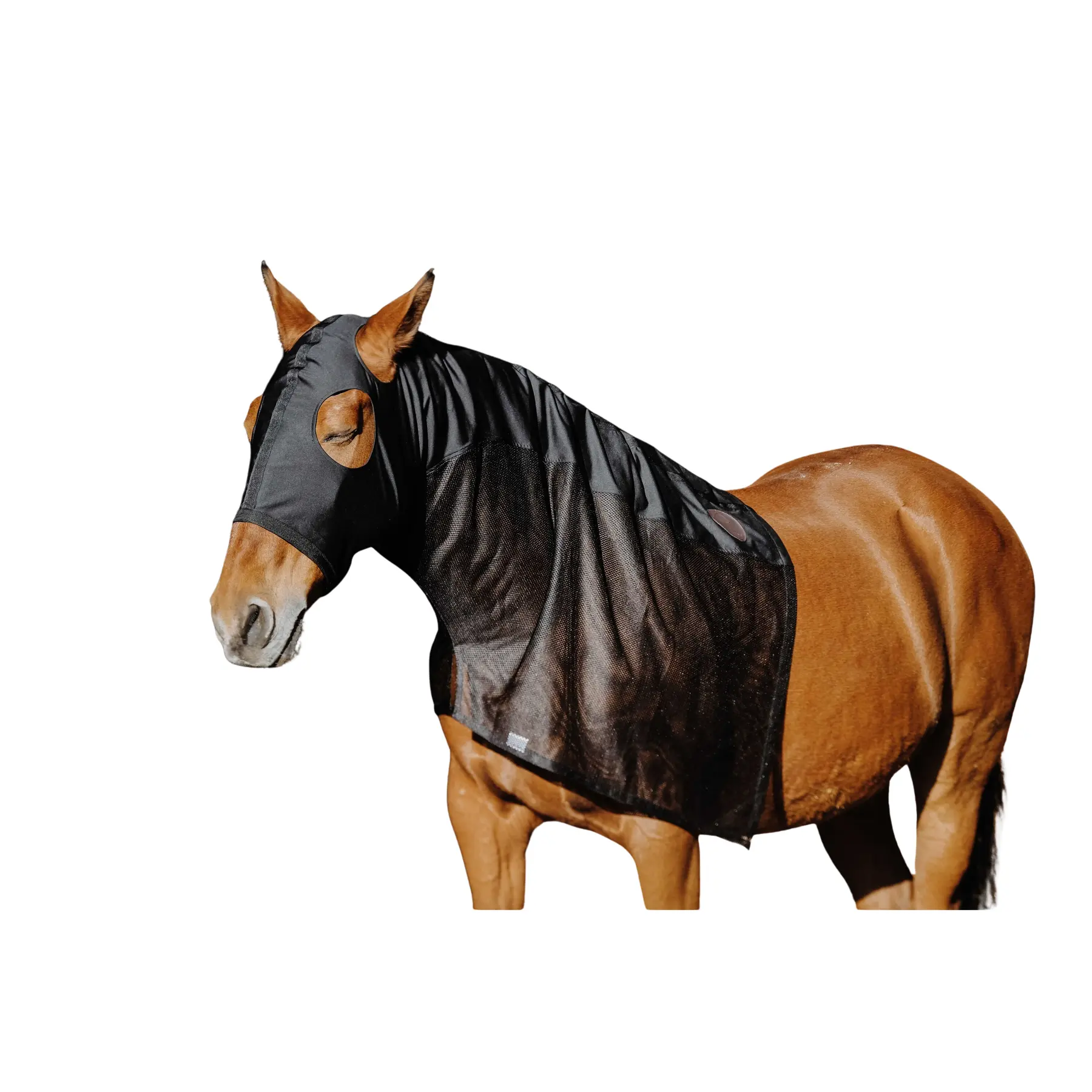 Meilleurs prix pour Couvre-cou pour cheval en lycra/mesh Equithème 0g