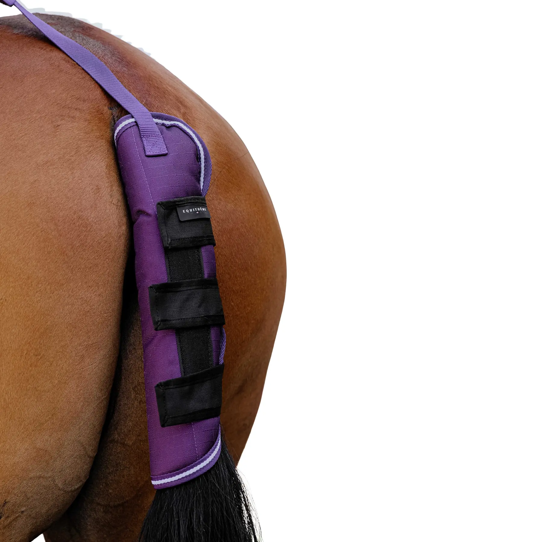 Meilleurs prix pour Protège-queue pour cheval Equithème Tyrex 600D