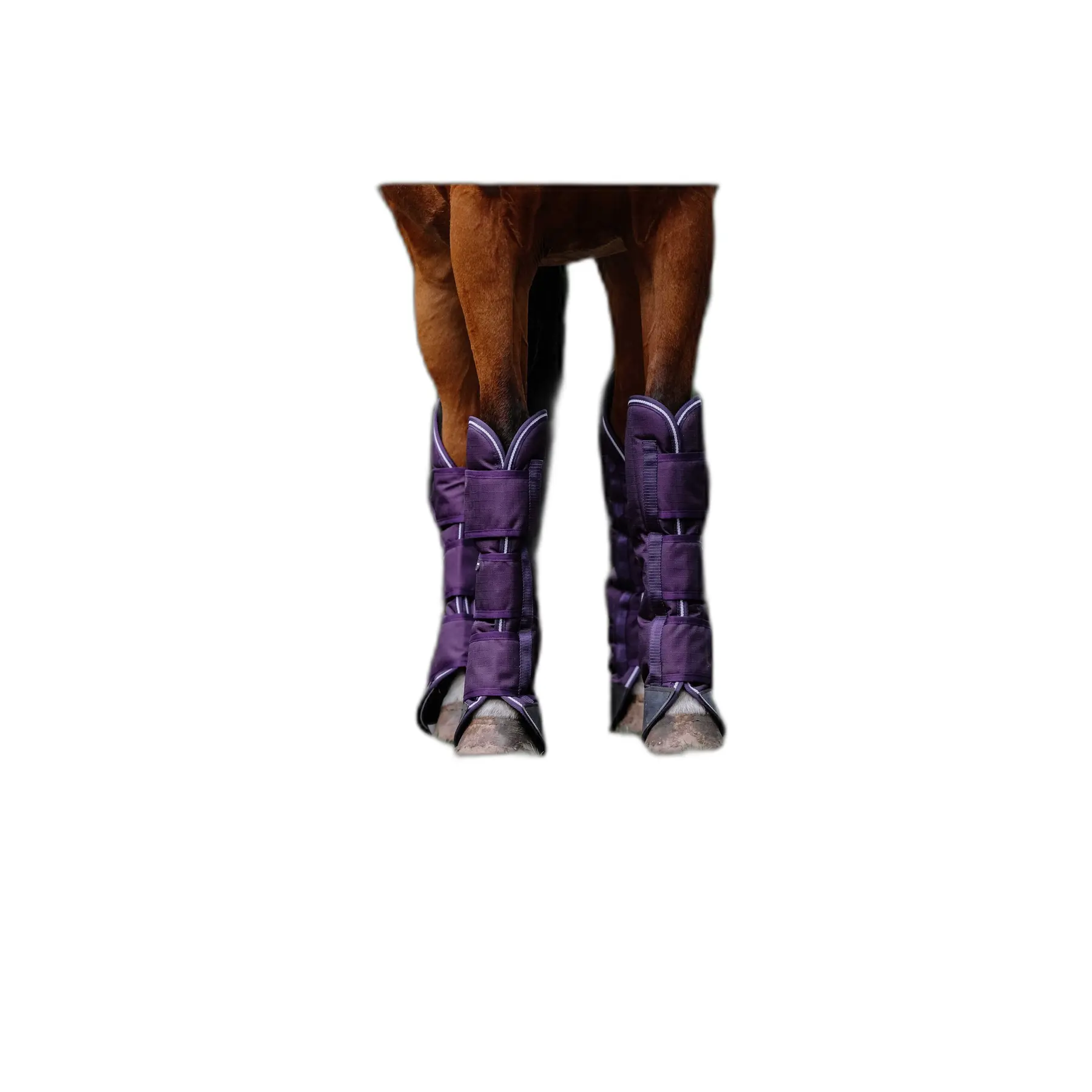 Meilleurs prix pour Guêtres de transport pour cheval Equithème Tyrex 600D