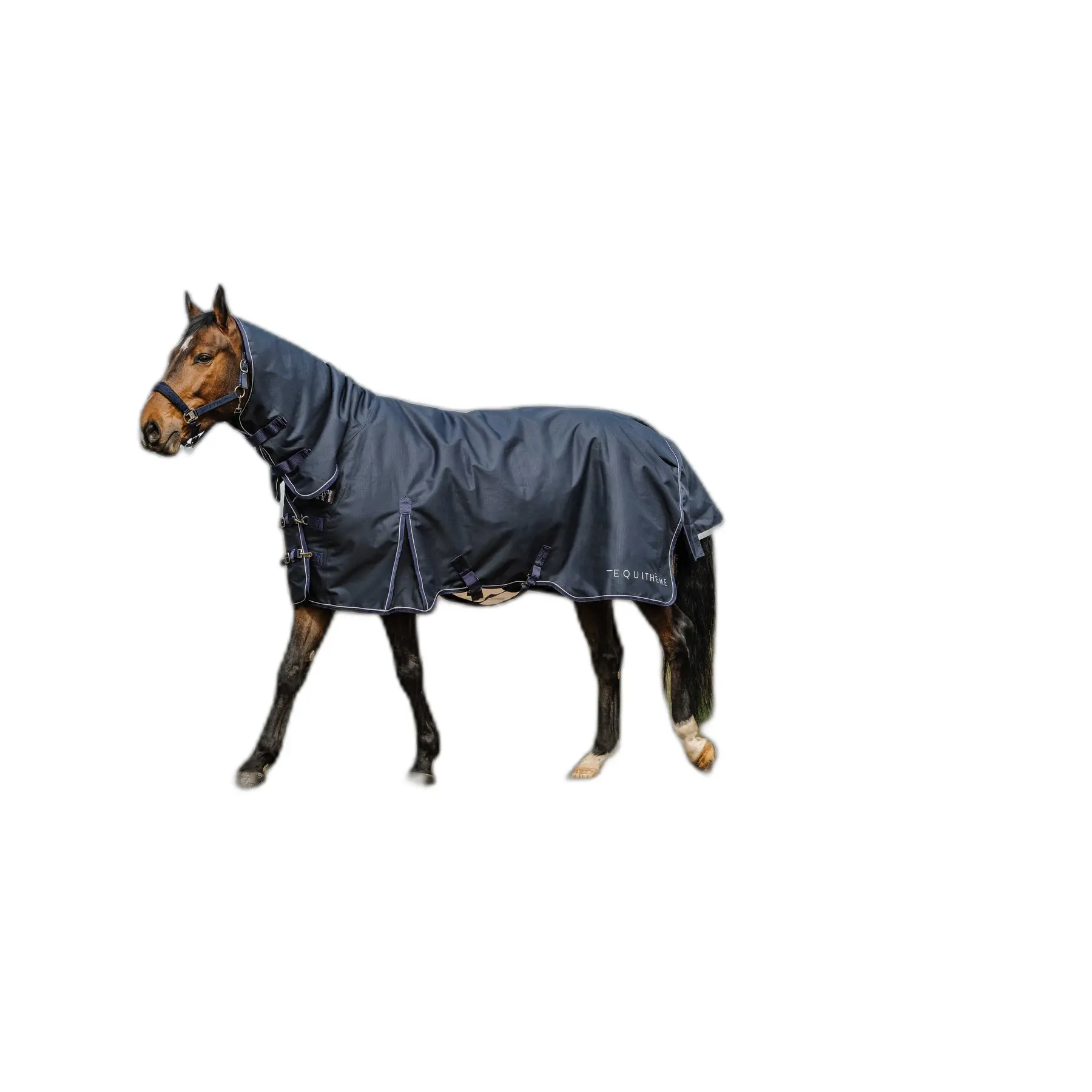 Meilleurs prix pour Couverture d'extérieur pour cheval et couvre-cou Equithème Anatomic 1200D Combo 0g
