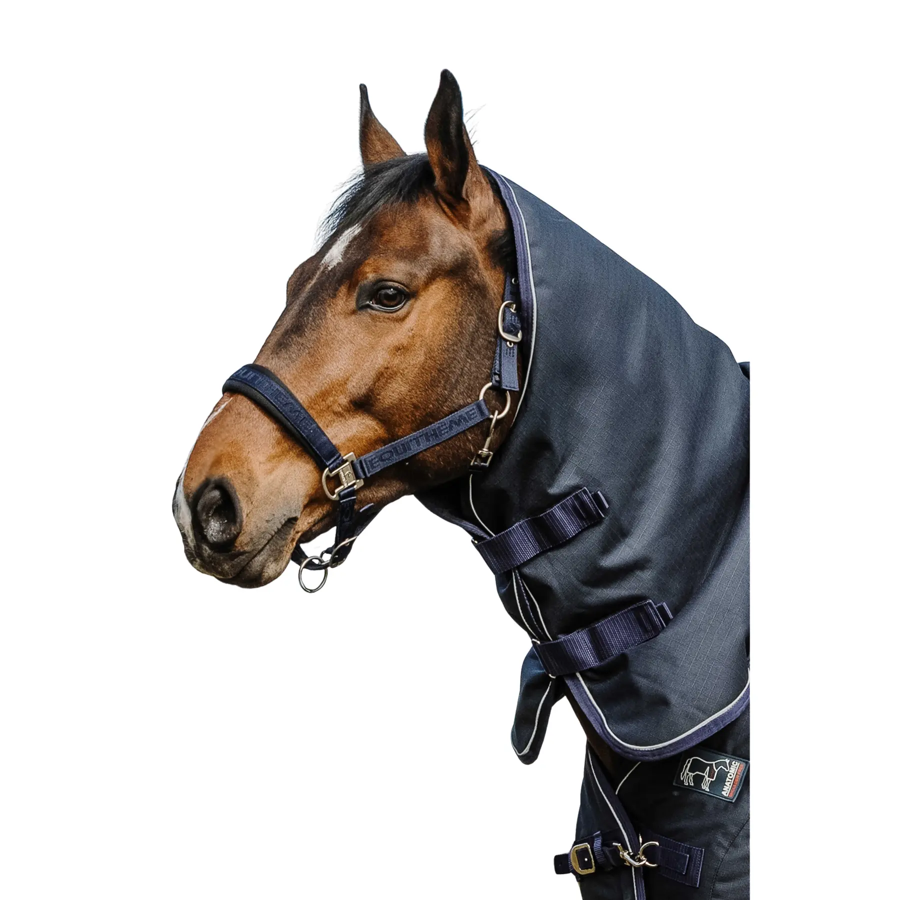 Meilleurs prix pour Couvre-cou pour cheval Equithème Anatomic 1200D 200g