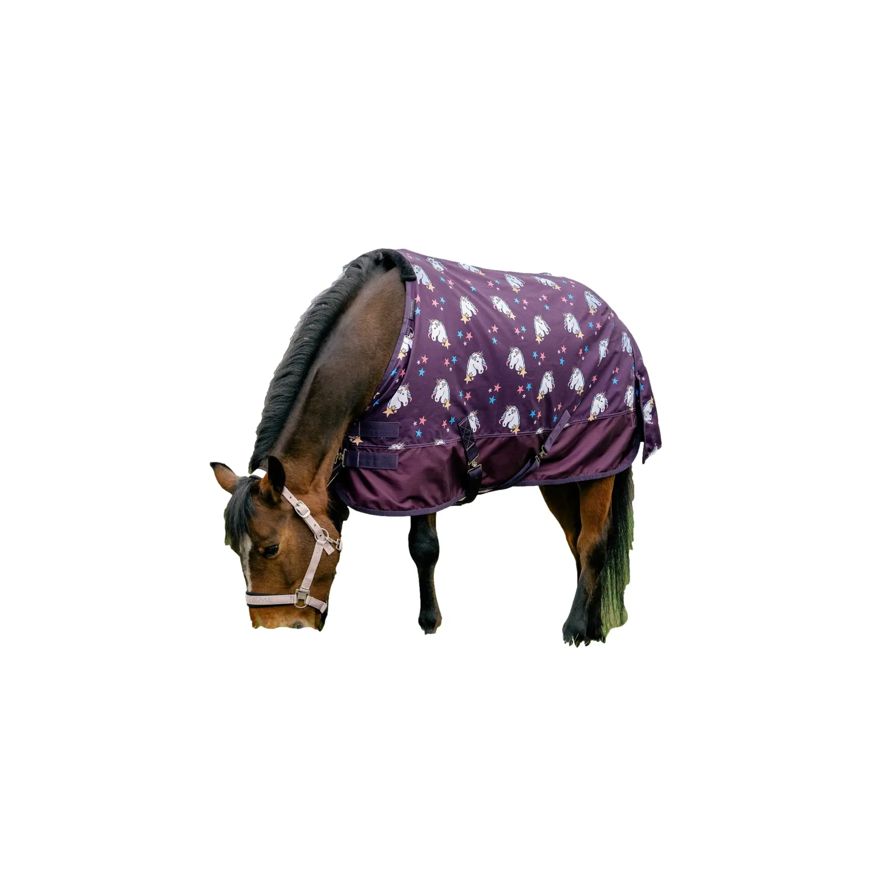 Comparer les prix de Chemise pour cheval imperméable Equithème Licorne 600D STD