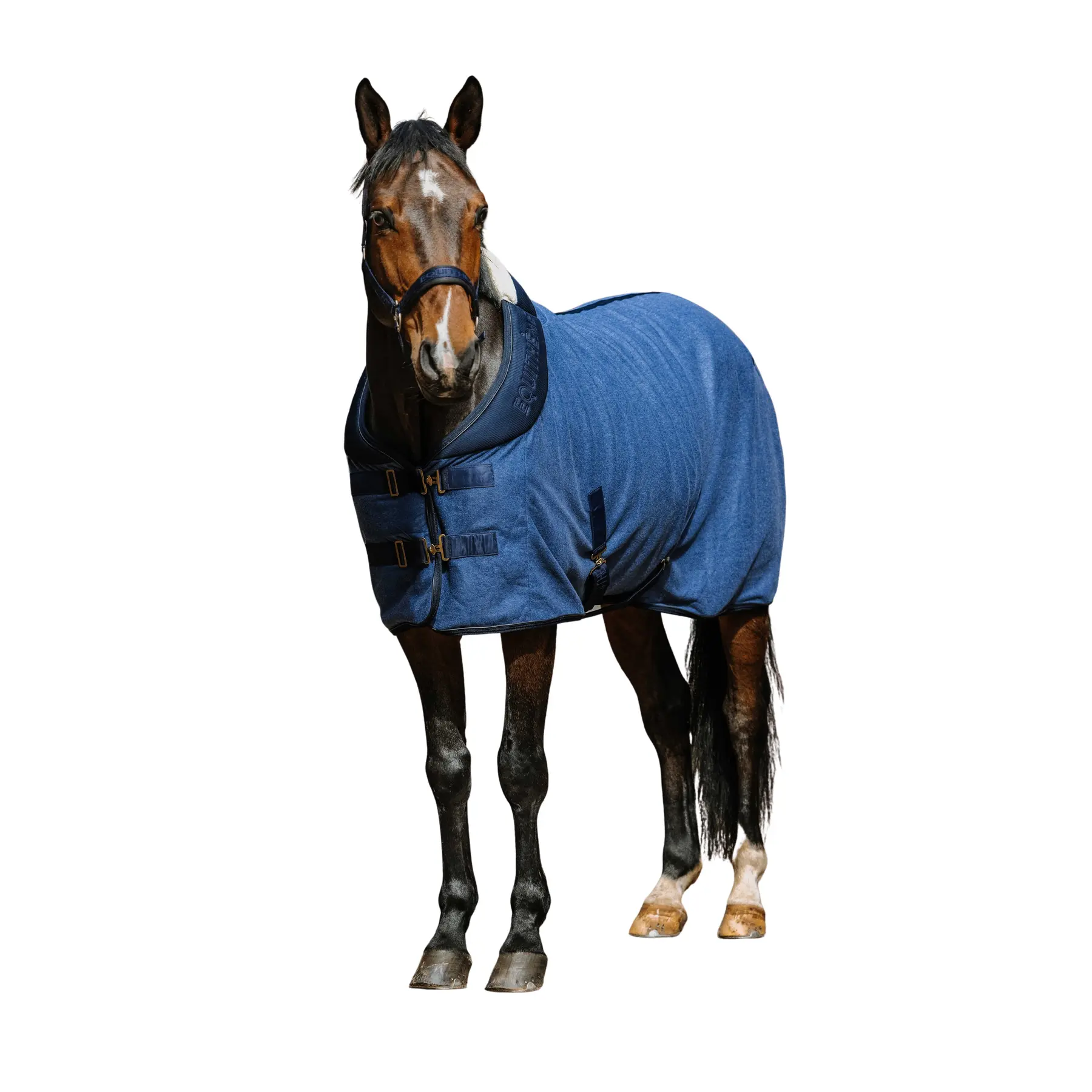 Comparer les prix de Chemise polaire pour cheval Equithème Comfortech