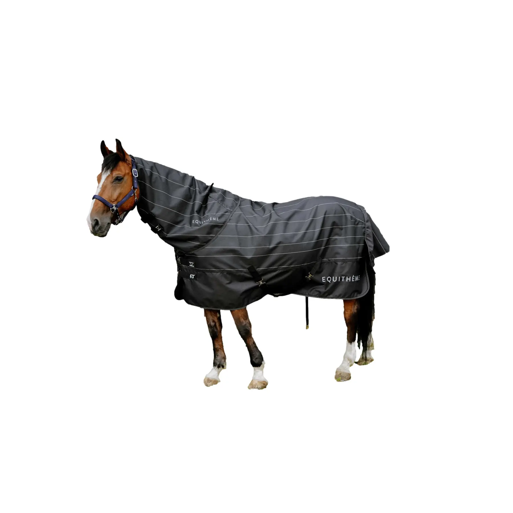 Comparer les prix de Couverture d'extérieur pour cheval Equithème Tyrex