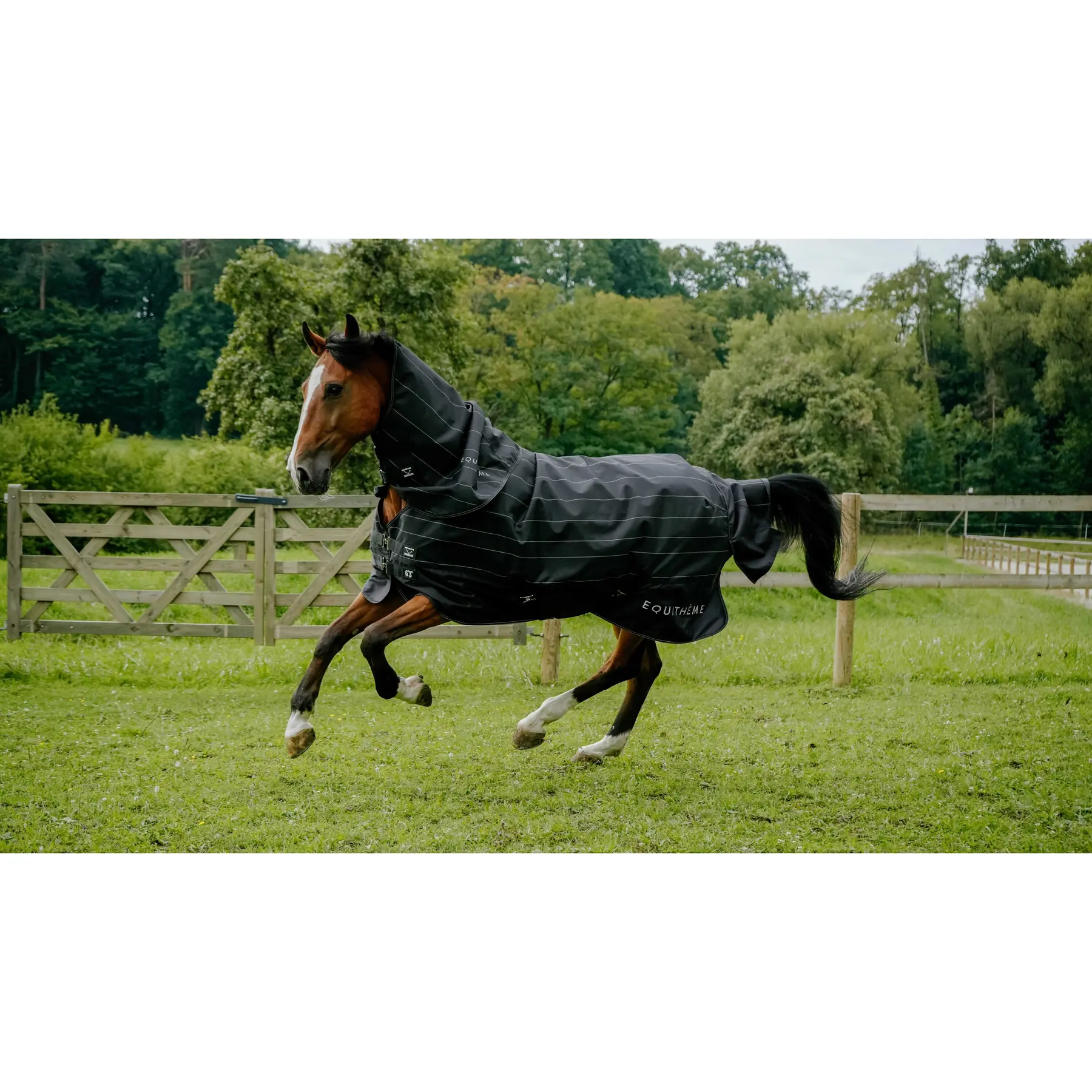 Couverture d'extérieur pour cheval Equithème Tyrex Lumin 600D 100g