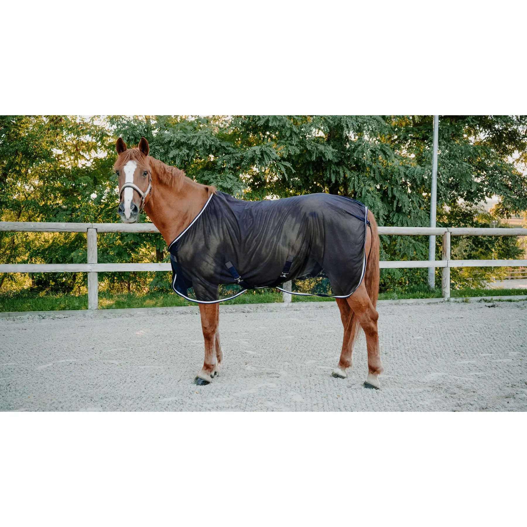 Meilleurs prix pour Chemise anti-mouches pour cheval Equithème Serenity
