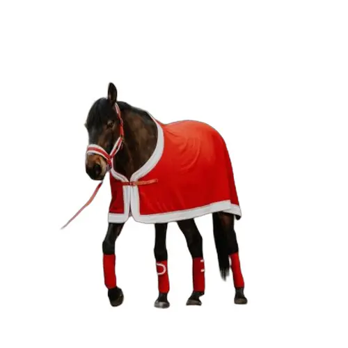 Meilleurs prix pour Chemise polaire pour cheval Equithème Xmas