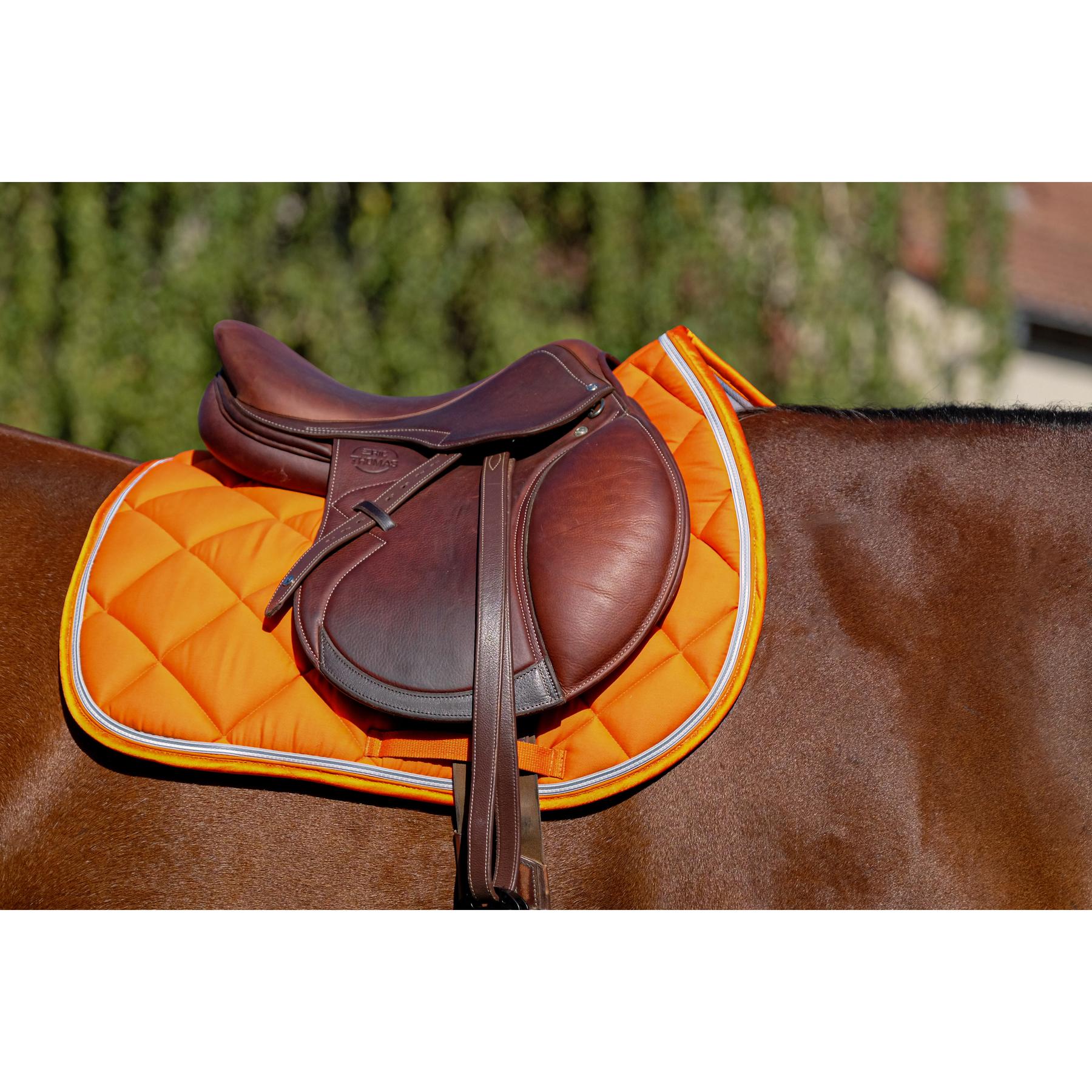 product/e/q/equitheme_204_773_022_ambi2.jpg