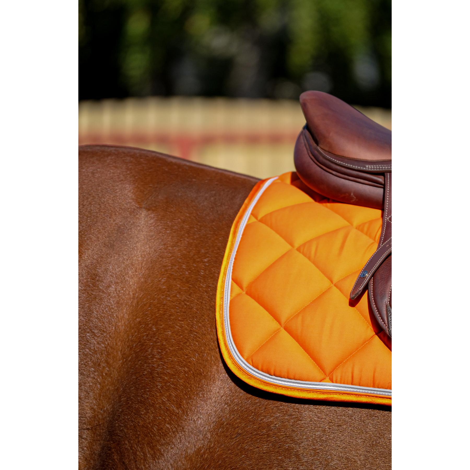 product/e/q/equitheme_204_773_022_ambi3.jpg
