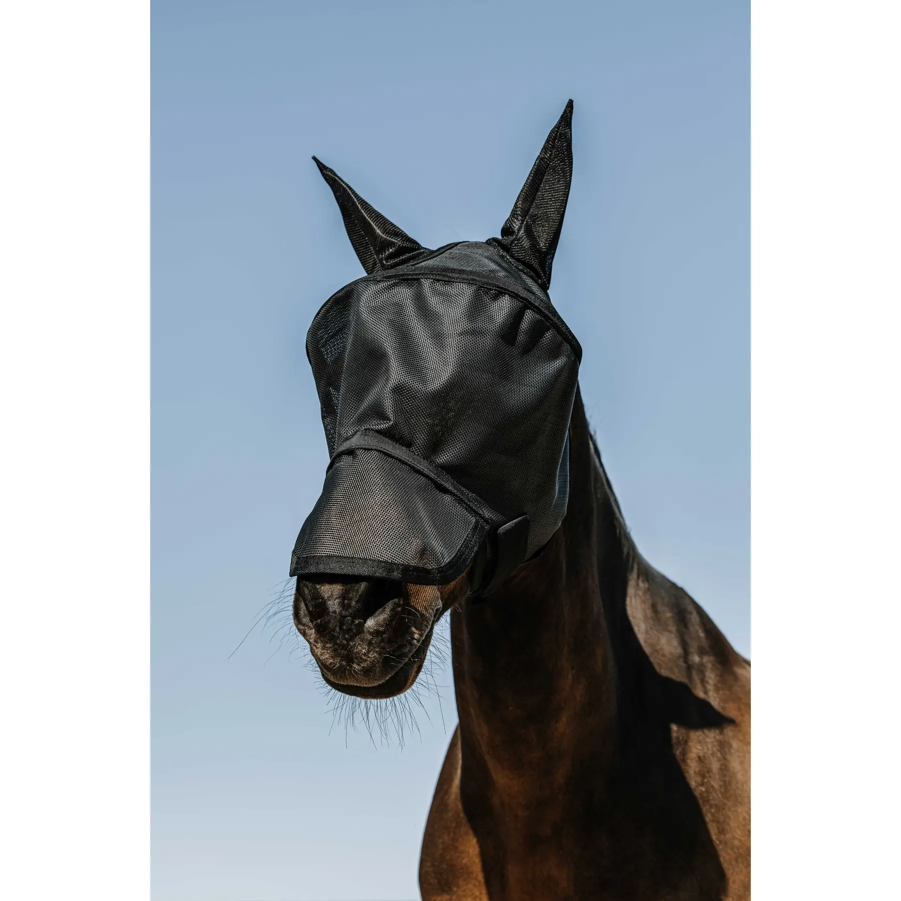 Meilleurs prix pour Masque anti-mouches pour cheval Equithème Protec