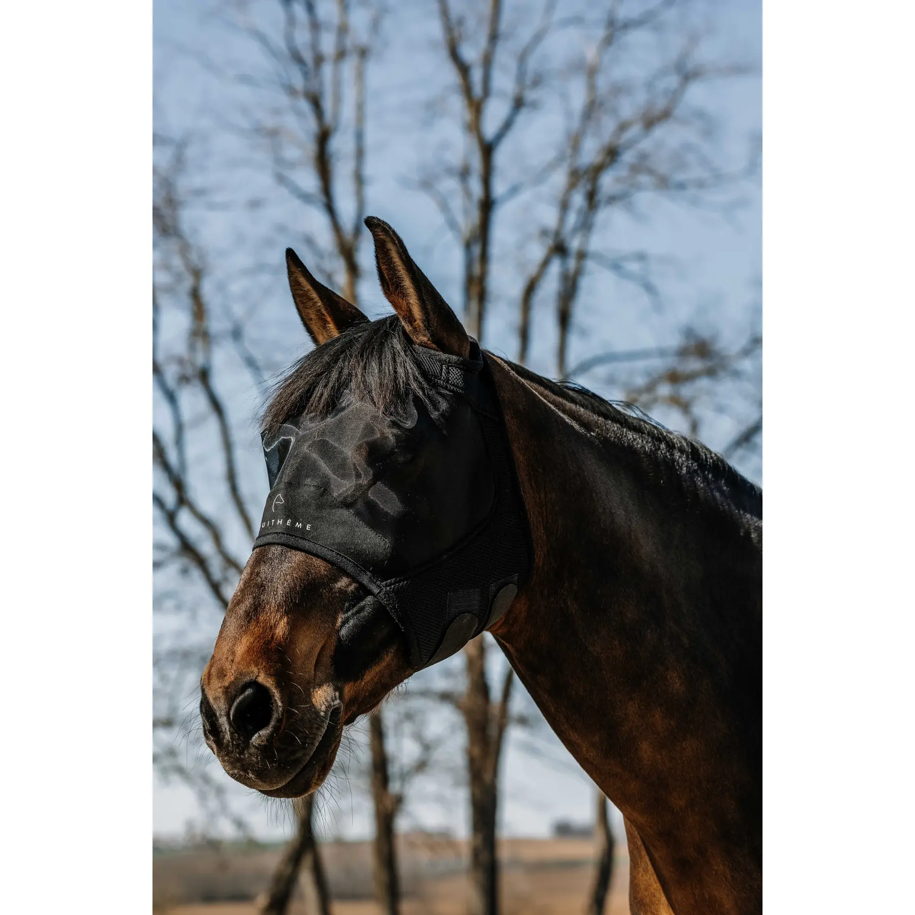 Meilleurs prix pour Masque anti-mouches pour cheval sans oreilles Equithème Mesh