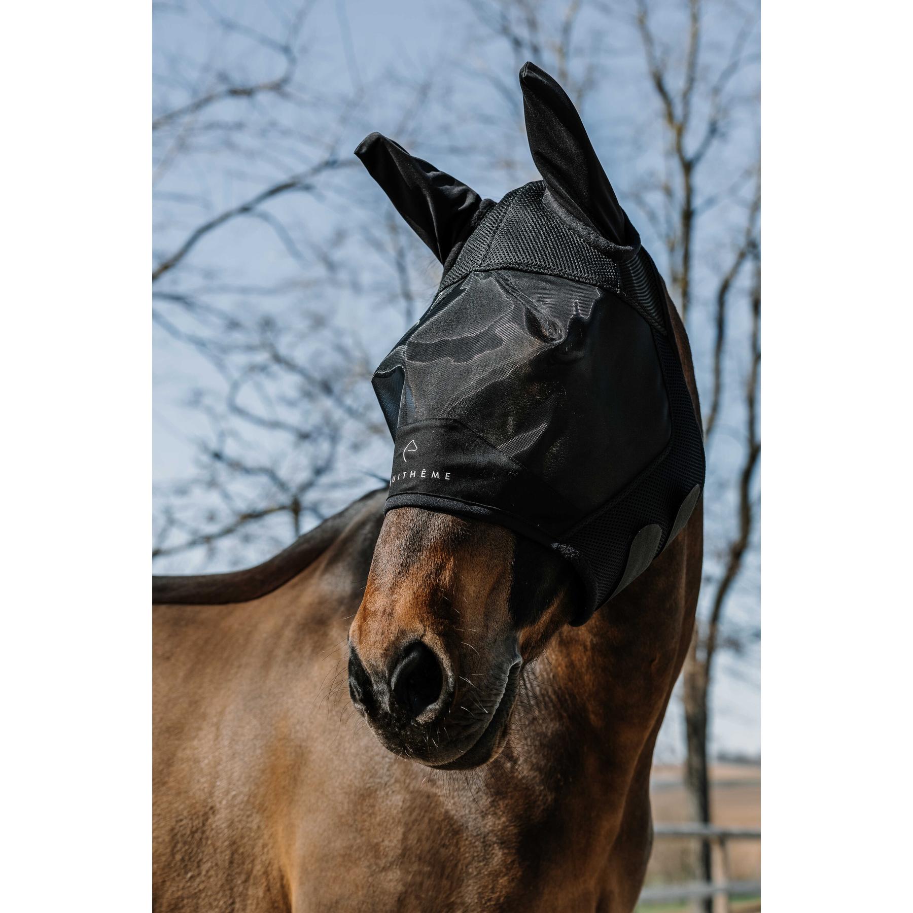 product/e/q/equitheme_306025201_noir_1.jpg