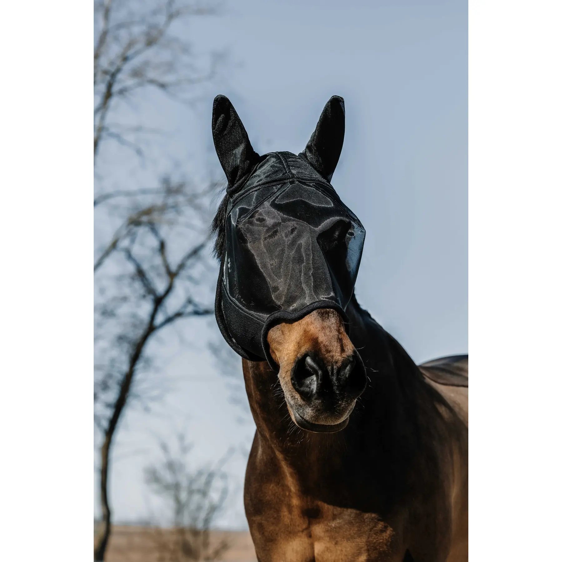 Meilleurs prix pour Masque anti-mouches pour cheval Equithème Anatomic