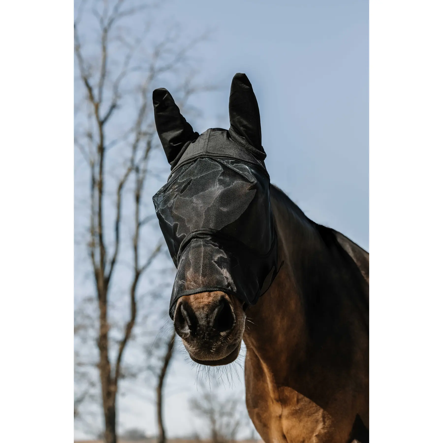 Comparer les prix de Masque anti-mouches pour cheval avec nez Equithème Soft