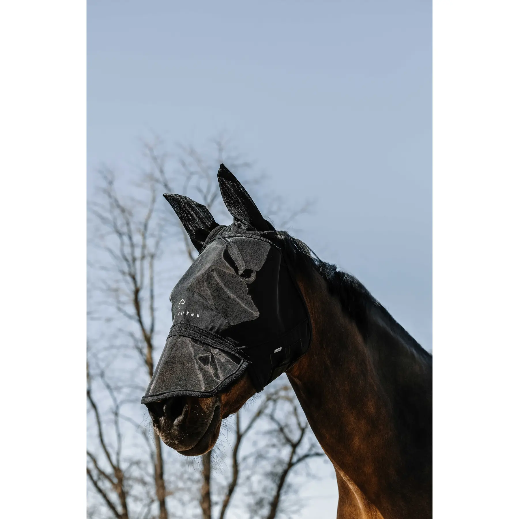 Meilleurs prix pour Masque anti-mouches pour cheval Zipper Equithème