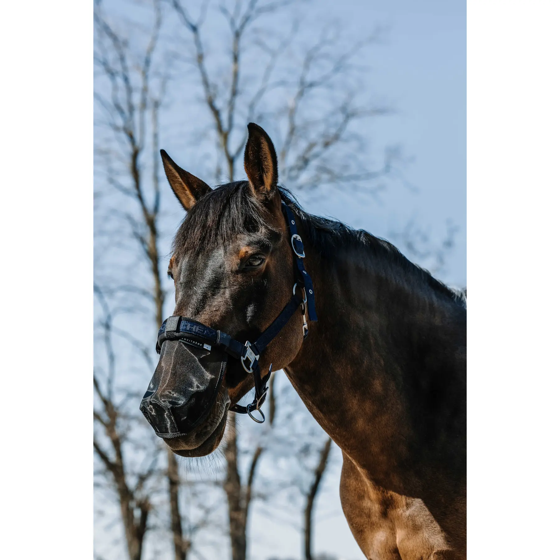 Comparer les prix de Protège naseaux pour cheval Equithème Anti UV