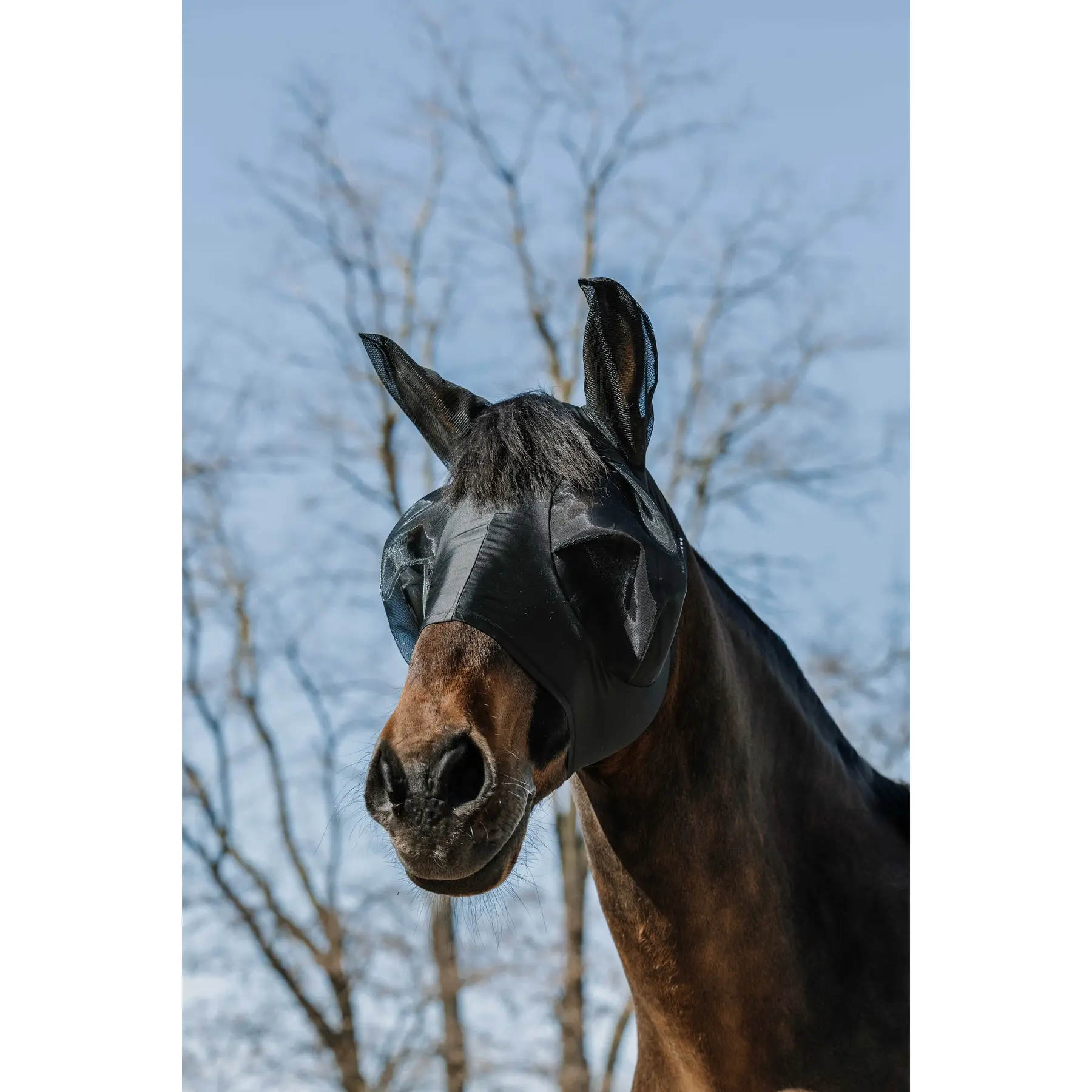 Meilleurs prix pour Bonnet pour cheval Equithème A-M.A.UV. Lycra