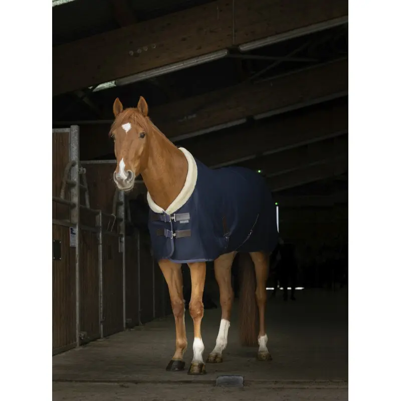 Equithème Men's Bleu Rug Teddy