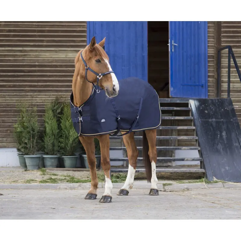 Comparer les prix de Chemise pour cheval Equithème Chic 0g