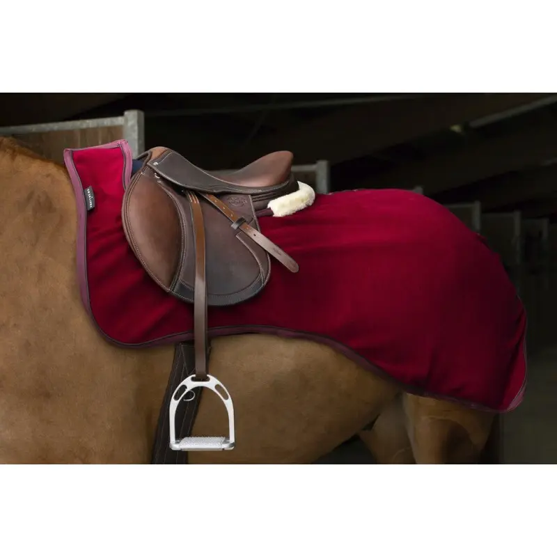 Equithème Rouge Horse Rugs Teddy