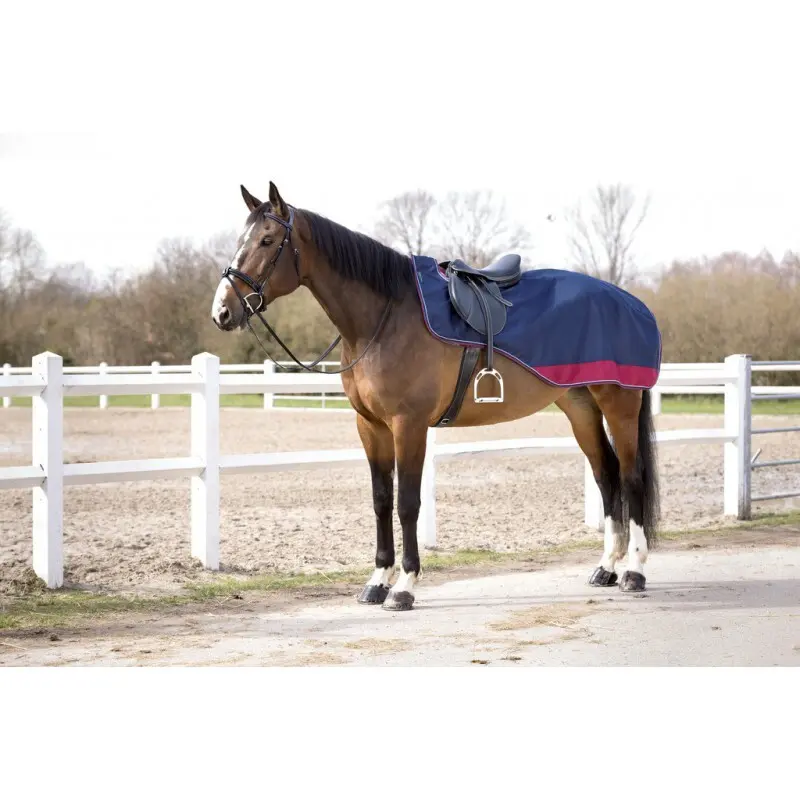 Equithème Bleu Horse Rugs Tyrex 1200 D