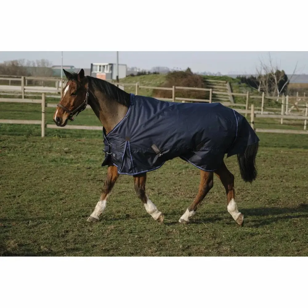 Meilleurs prix pour Couverture d'extérieur pour cheval Equithème Classic 600D 50 g