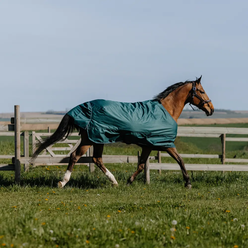 Meilleurs prix pour Couverture d'extérieur pour cheval Equithème Tyrex 600D 50g