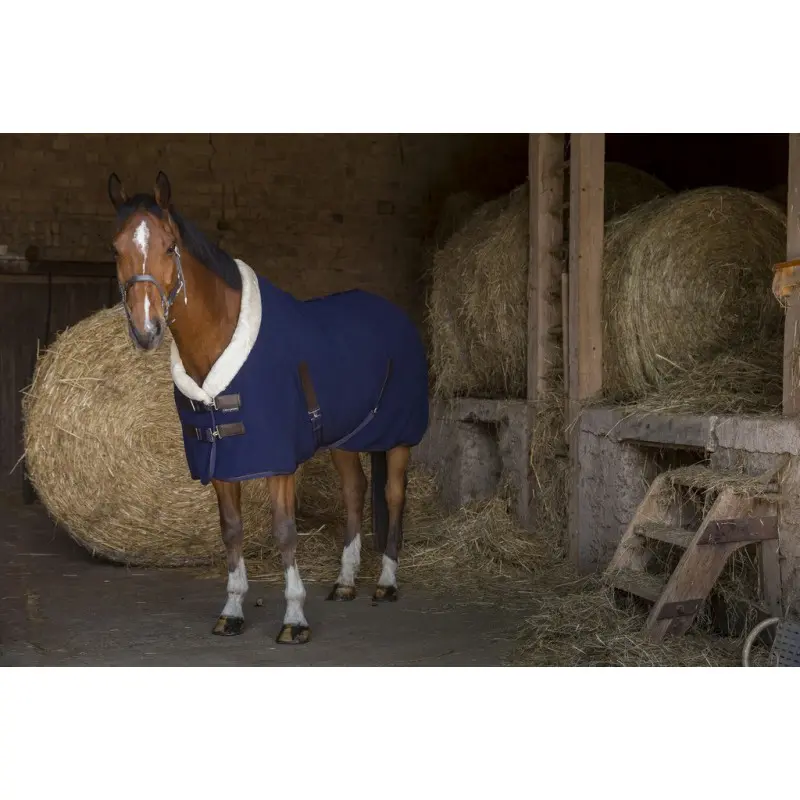 Equithème Men's Bleu Rug Teddy