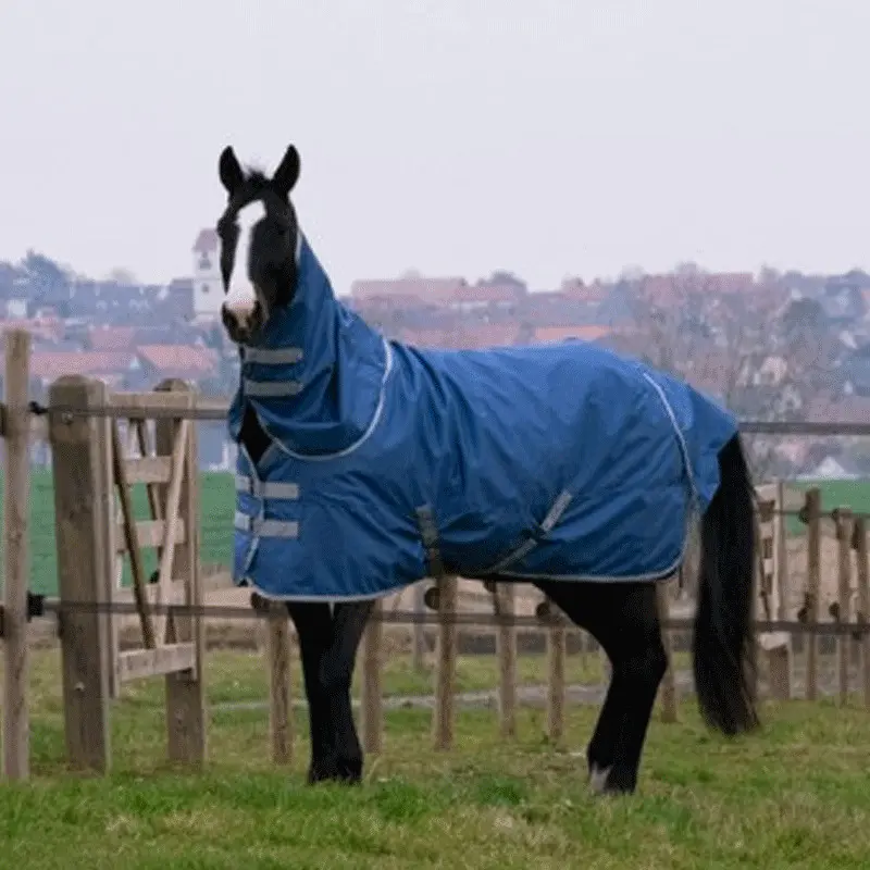 Comparer les prix de Couvre-cou pour cheval Equithème Tyrex 600D