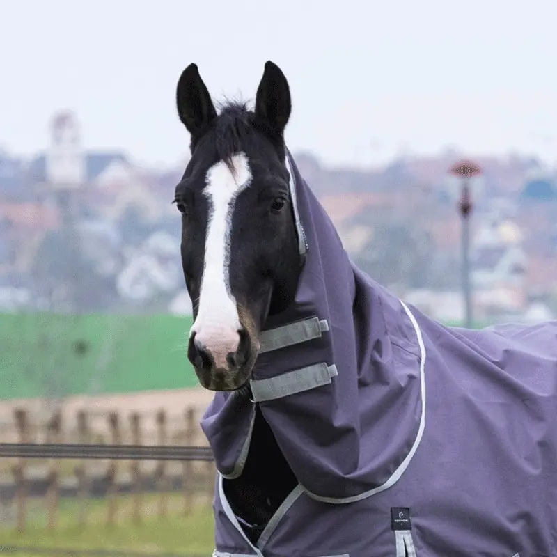 Meilleurs prix pour Couvre-cou pour cheval recyclé Equithème Tyrex 1200D 150 g
