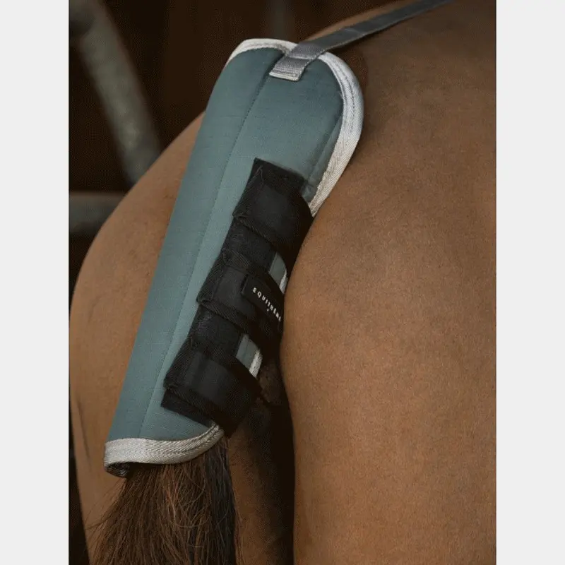 Meilleurs prix pour Protège-queue pour cheval recyclé Equithème Tyrex 600D