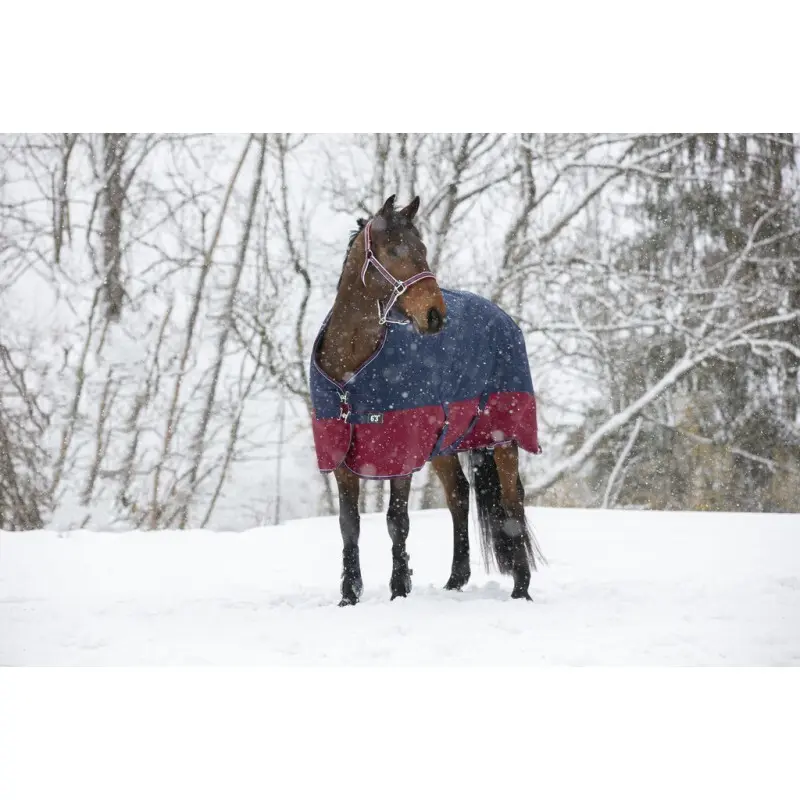 Meilleurs prix pour Couverture pour cheval Equithème TYREX 1200 D 50g