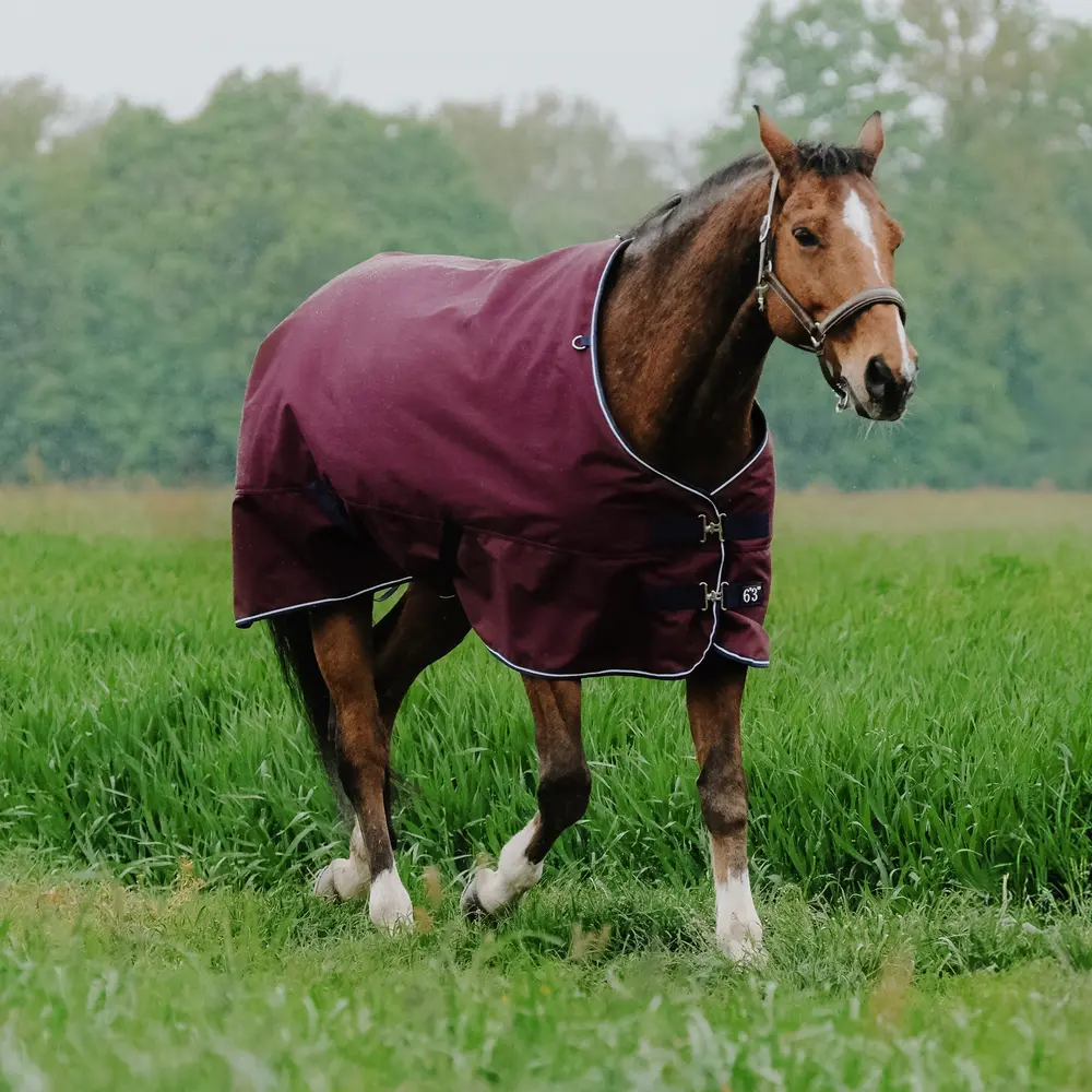 Comparer les prix de Couverture d'extérieur pour cheval Equithème Tyrex 1200D 450g