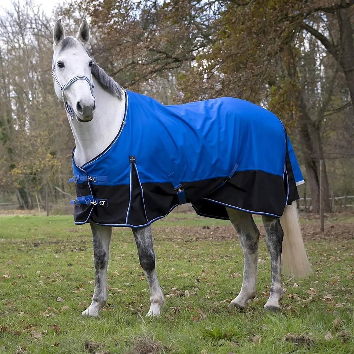 Equithème Bleu Outdoor Horse Blanket Tyrex 1200D Aisance 0G