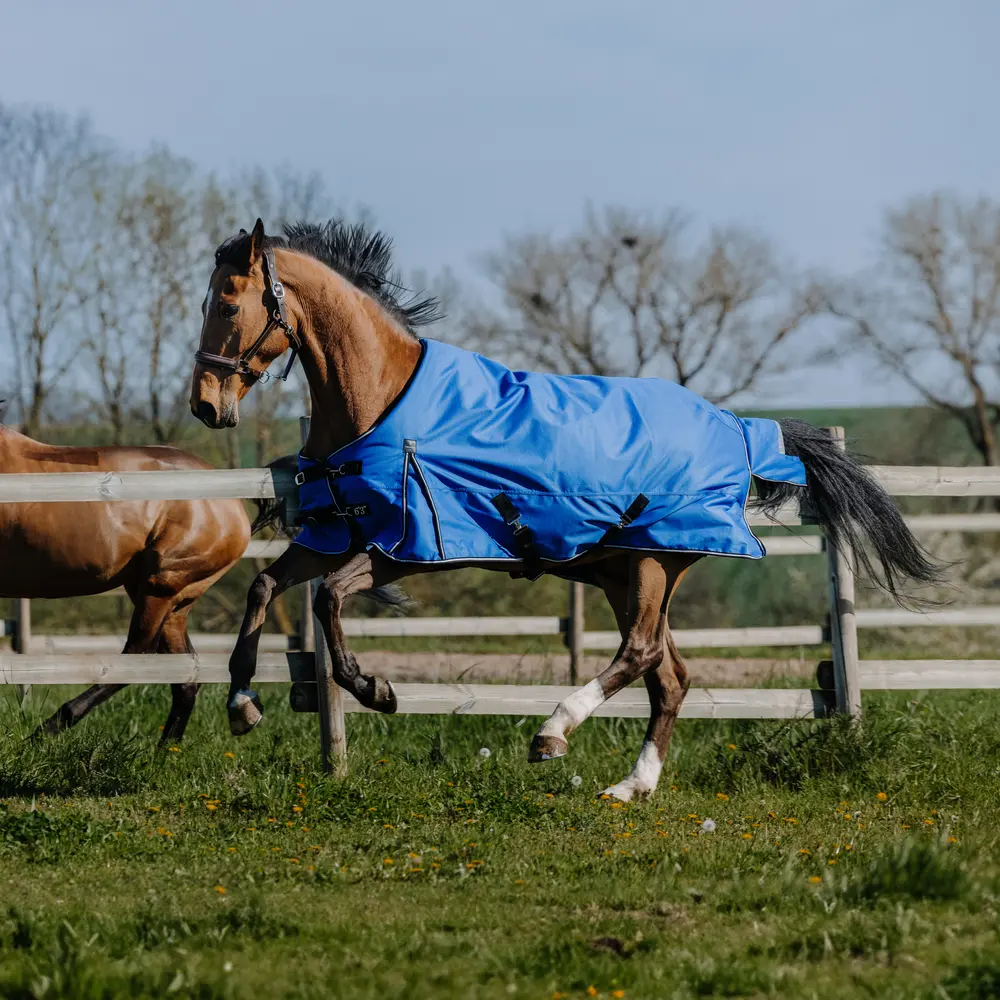 Comparer les prix de Couverture d'extérieur pour cheval Equithème Tyrex Aisance 1200D 300g