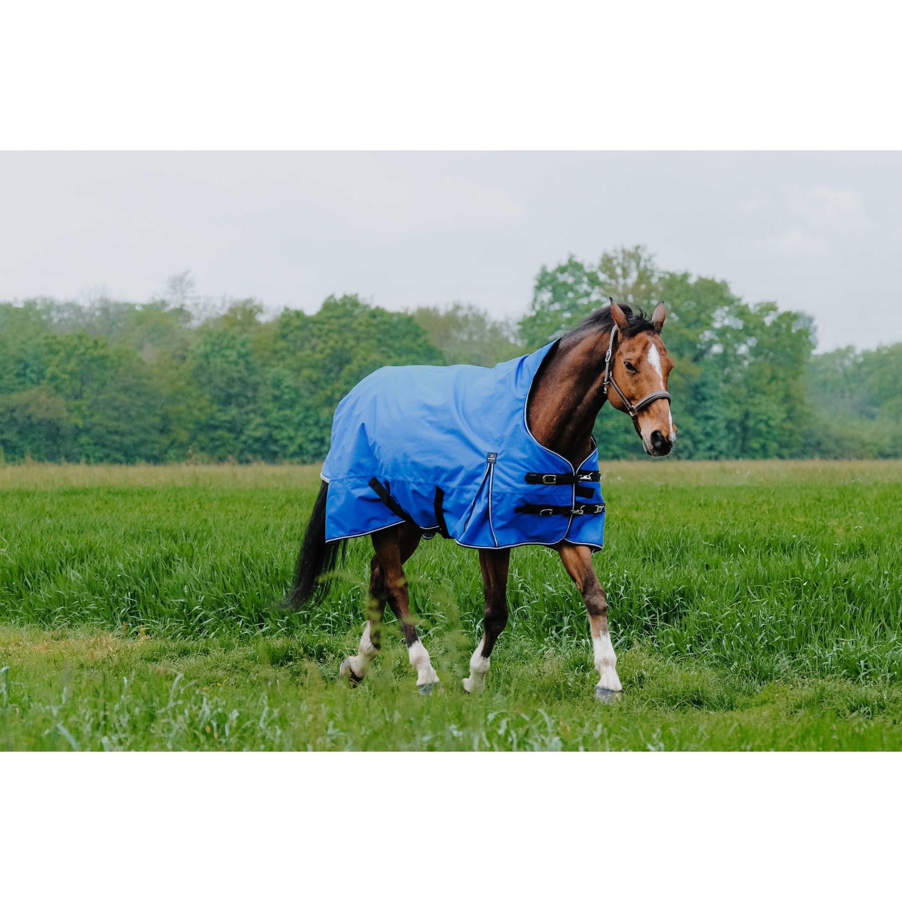 product/e/q/equitheme_400965449_bleu-roi_3.jpg