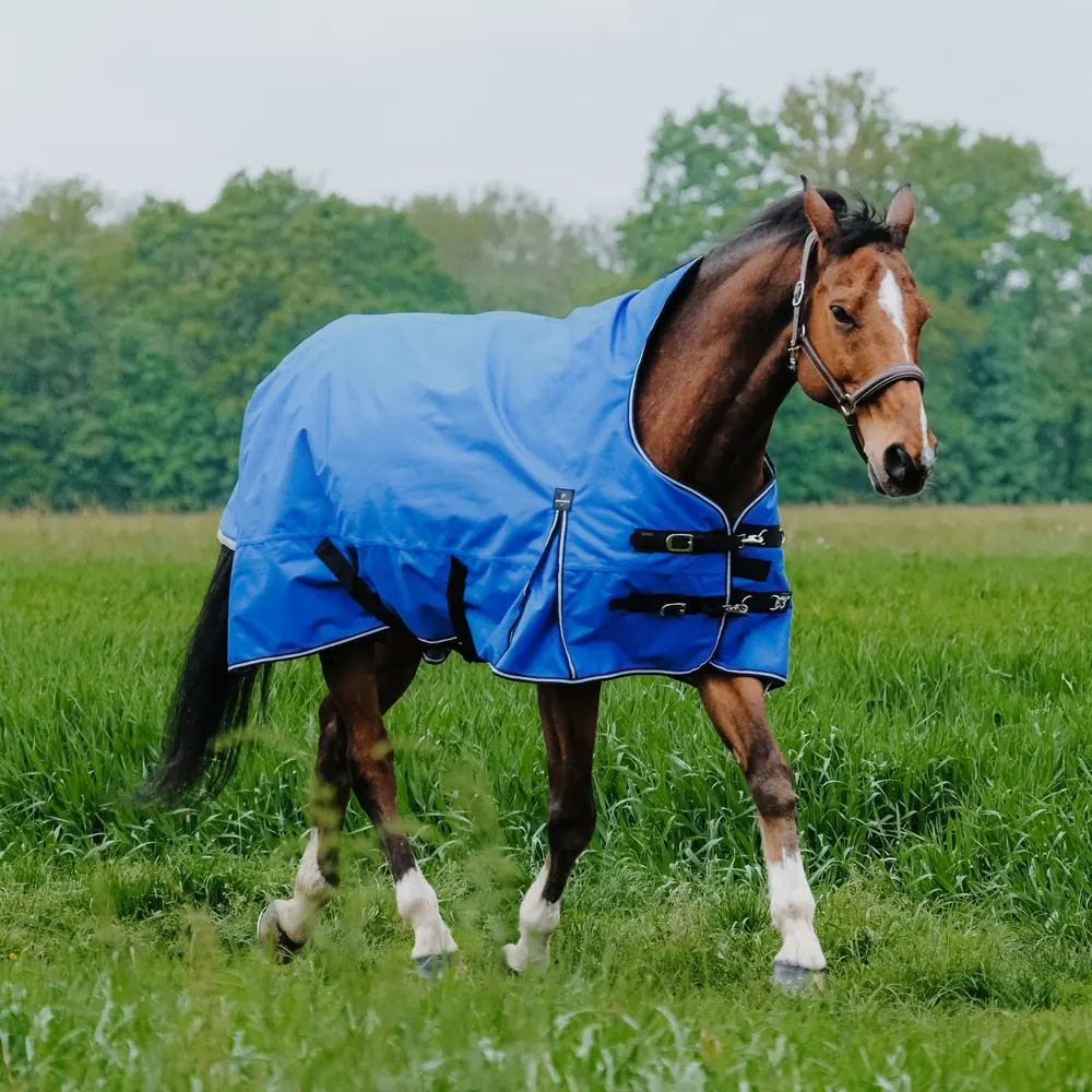 Meilleurs prix pour Couverture d'extérieur pour cheval Equithème Tyrex Aisance 1200D 50g