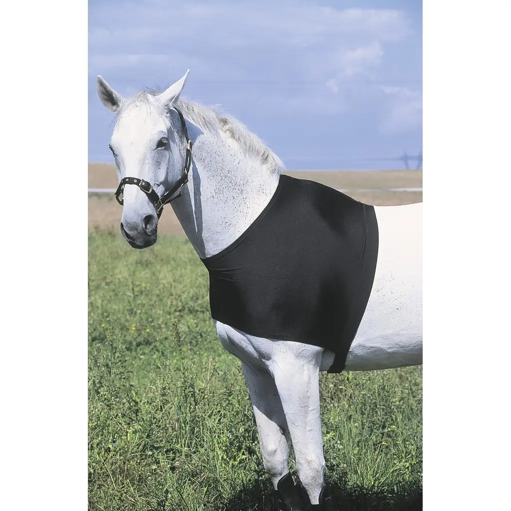Meilleurs prix pour Protection de poitrail Equithème