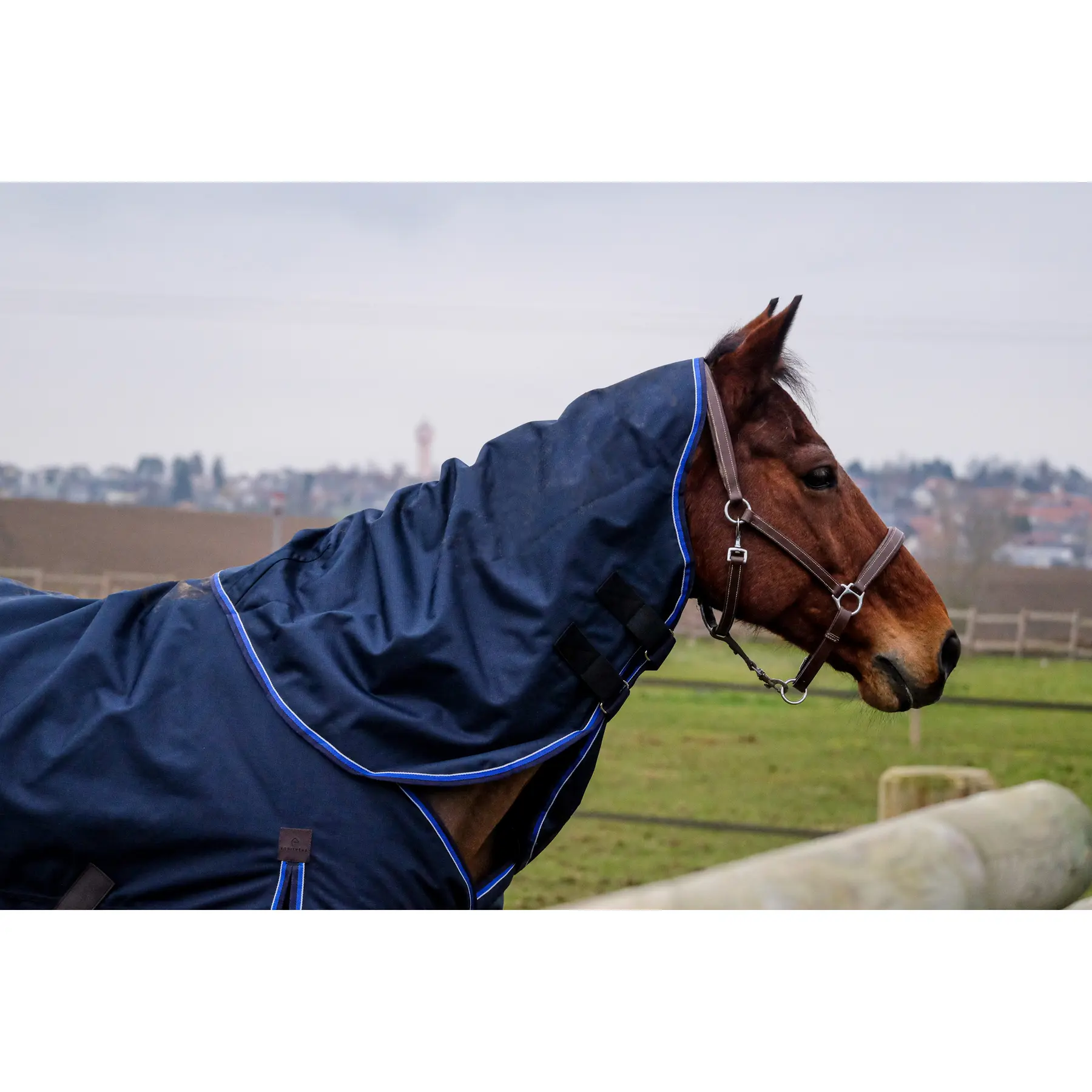 Meilleurs prix pour Couvre-cou pour cheval Equithème Classic 1200D 150g