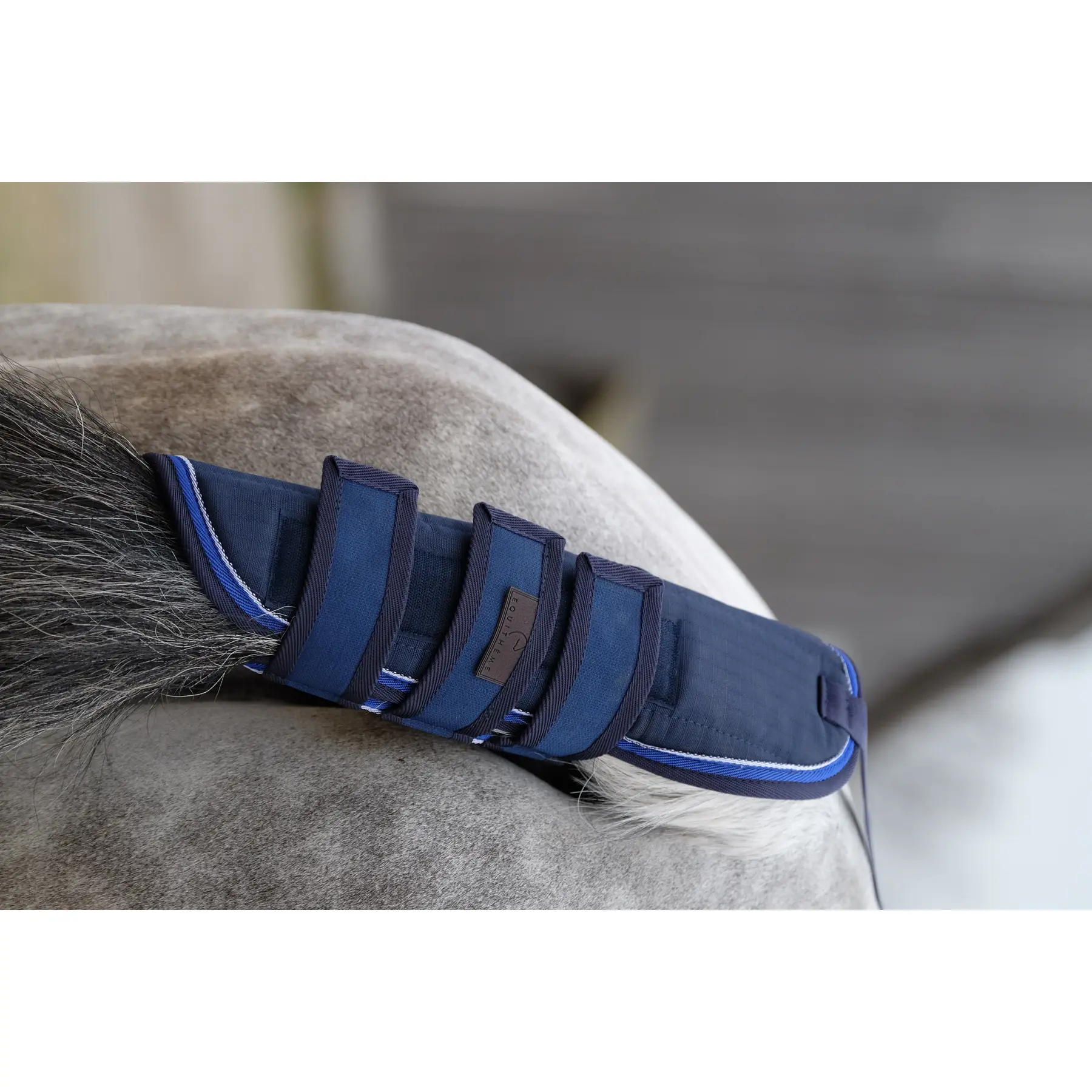 Comparer les prix de Protège-queue pour cheval Equithème Classic 1200D