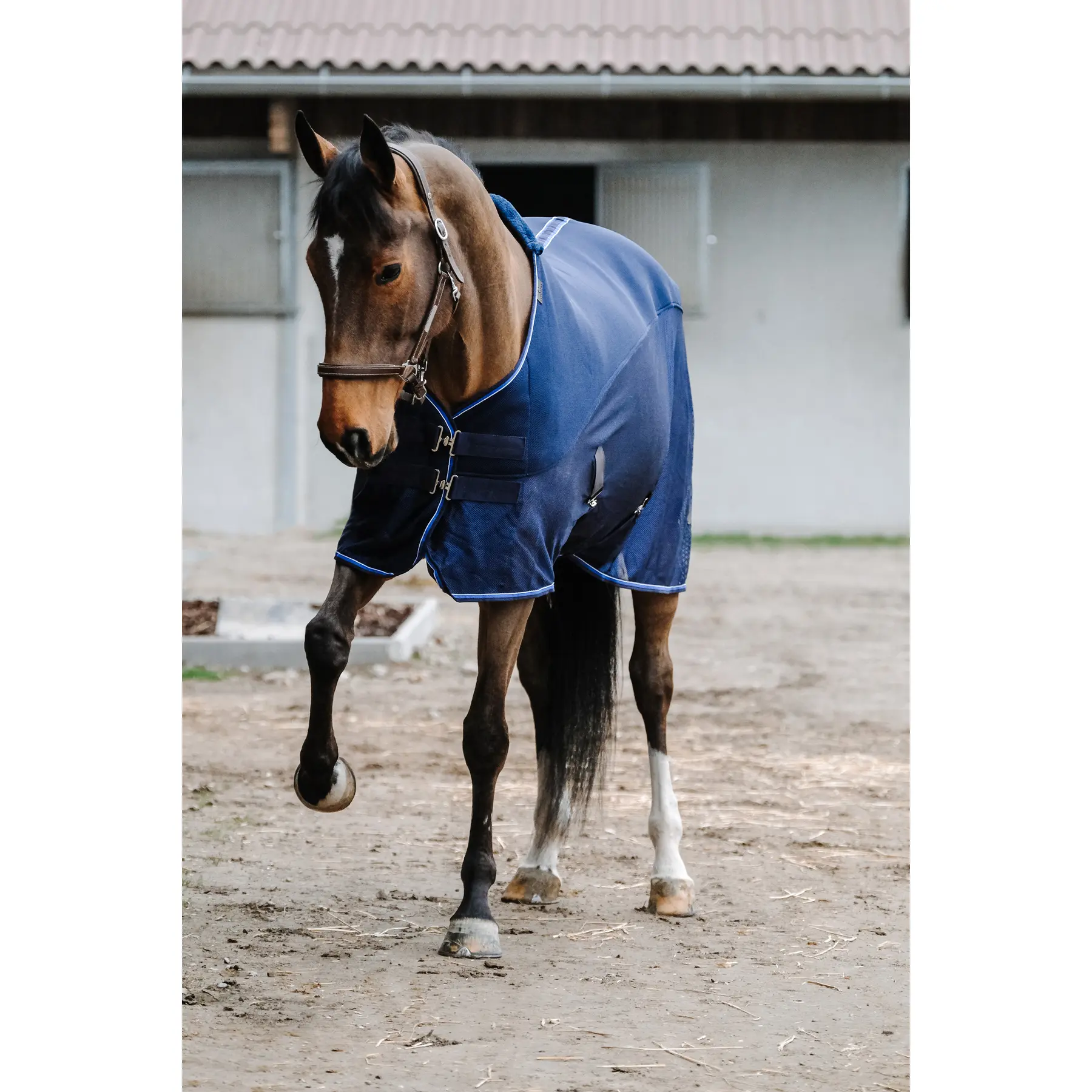 Comparer les prix de Chemise pour cheval en 3D mesh Equithème Classic