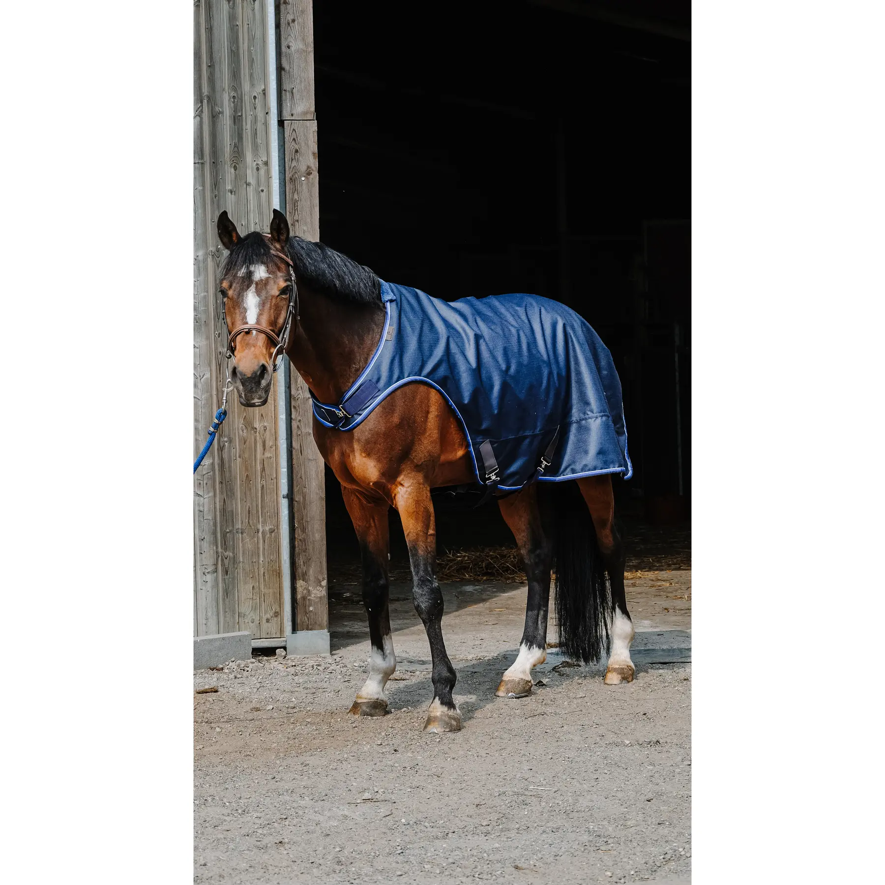Comparer les prix de Couverture de marcheur pour cheval Equithème Classic 1200D