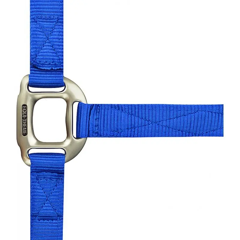 Equithème Bleu Halter For Horse Nylon