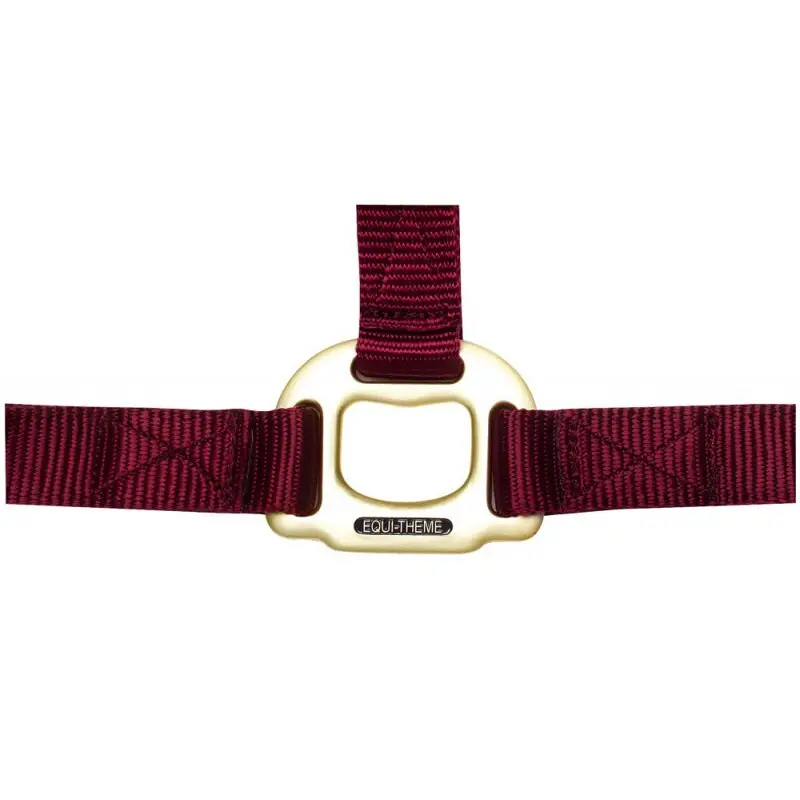 Equithème Rouge Halter For Horse Nylon