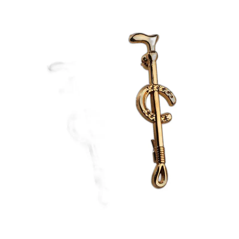 Meilleurs prix pour Epingle cravate pour cheval Equithème