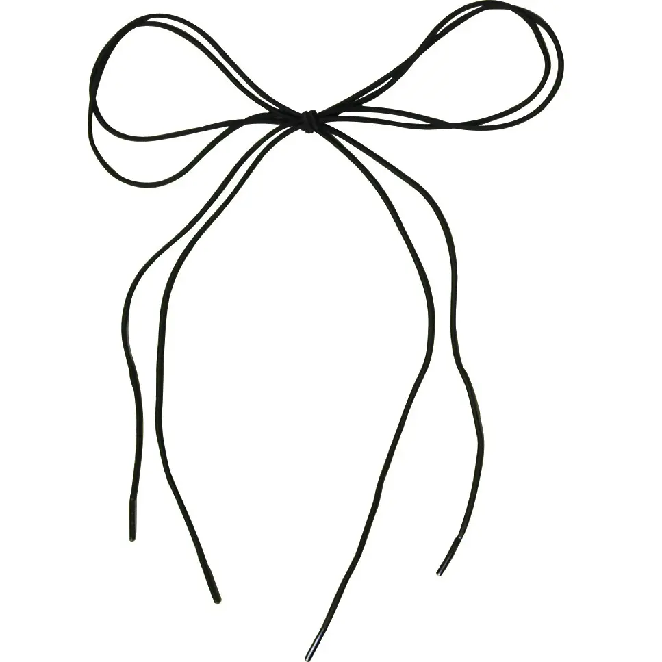 Meilleurs prix pour Lacets élastiques Equithème