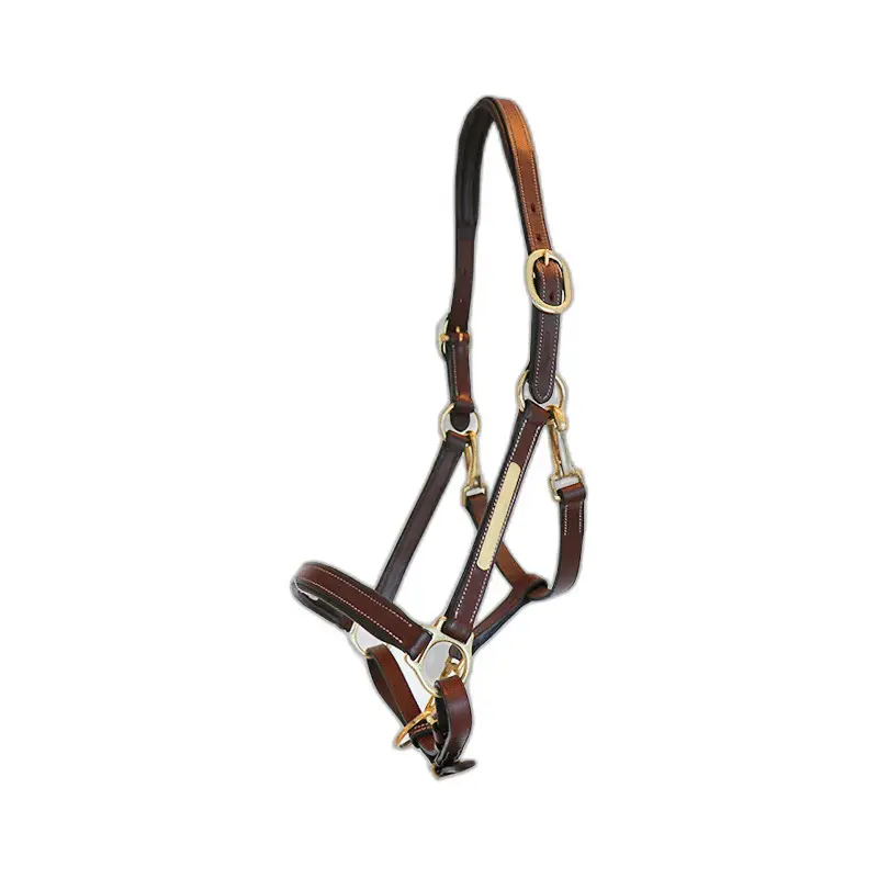 Eric Thomas Marron Halter For Pony Leather Grooming “Pro”