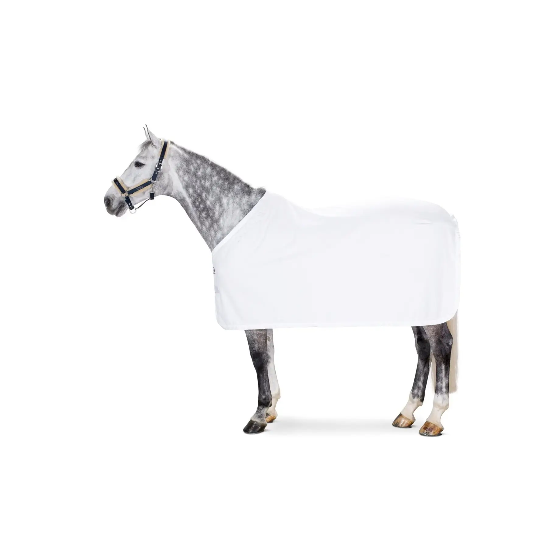 Couverture polaire pour cheval anti-transpiration Eskadron