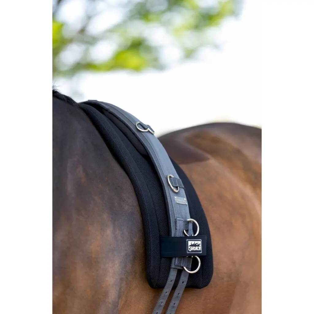Meilleurs prix pour Fourreau de sangle pour cheval en maille Eskadron