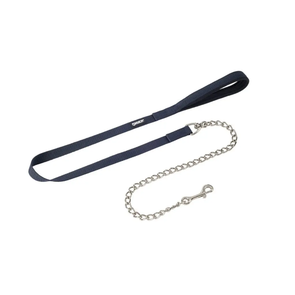 Eskadron Bleu Dog Leash With Silver Chain